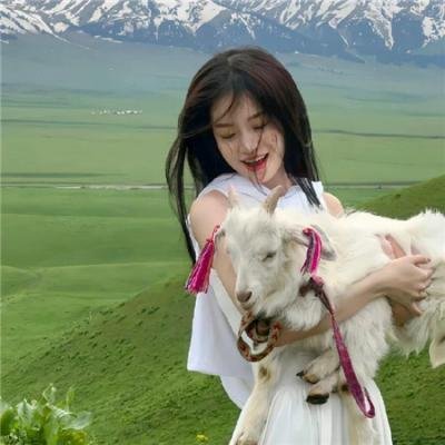 狗狗吸血鬼 在线观看